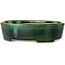Maceta ovalada para bonsái verde con detalles en azul de Terahata Satomi Mazan - 192 x 160 x 55 mm