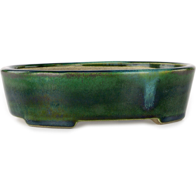 Pot à bonsaï ovale vert avec accent bleu par Terahata Satomi Mazan - 192 x 160 x 55 mm