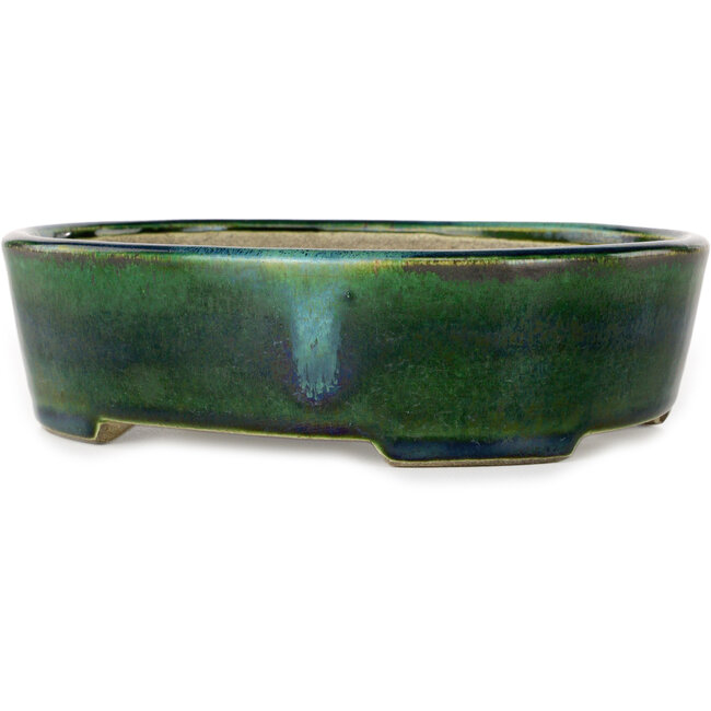 Ovaler grüner Bonsai-Topf mit blauem Akzent von Terahata Satomi Mazan – 192 x 160 x 55 mm