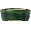 Maceta ovalada para bonsái verde con detalles en azul de Terahata Satomi Mazan - 192 x 160 x 55 mm