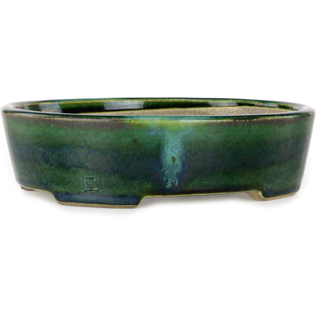 Ovaler grüner Bonsai-Topf mit blauem Akzent von Terahata Satomi Mazan – 192 x 160 x 55 mm