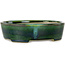 Vaso bonsai ovale verde con accenti blu di Terahata Satomi Mazan - 192 x 160 x 55 mm