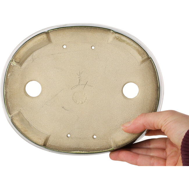 Maceta ovalada para bonsái verde con detalles en azul de Terahata Satomi Mazan - 192 x 160 x 55 mm