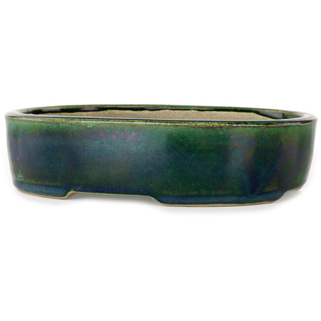 Vaso bonsai ovale verde di Terahata Satomi Mazan - 222 x 175 x 52 mm