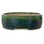 Vaso bonsai ovale verde di Terahata Satomi Mazan - 222 x 175 x 52 mm