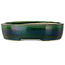 Vaso bonsai ovale verde di Terahata Satomi Mazan - 222 x 175 x 52 mm