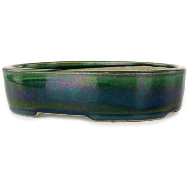 Maceta ovalada para bonsái verde de Terahata Satomi Mazan - 222 x 175 x 52 mm