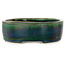 Maceta ovalada para bonsái verde de Terahata Satomi Mazan - 222 x 175 x 52 mm