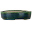 Pot à bonsaï ovale vert par Terahata Satomi Mazan - 222 x 175 x 52 mm