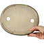 Maceta ovalada para bonsái verde de Terahata Satomi Mazan - 222 x 175 x 52 mm