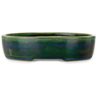  Satomi Mazan, Mazan Terahata Vaso bonsai verde ovale da 222 mm di Terahata Satomi Mazan, Tokoname, Giappone