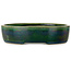 Maceta ovalada para bonsái verde de Terahata Satomi Mazan - 222 x 175 x 52 mm