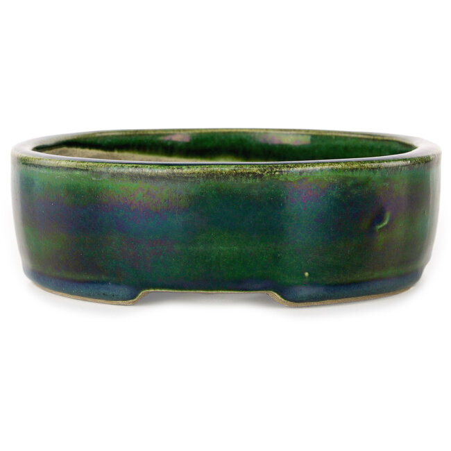 Ovale groene bonsaipot van Terahata Satomi Mazan - 222 x 175 x 52 mm