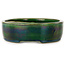 Maceta ovalada para bonsái verde de Terahata Satomi Mazan - 222 x 175 x 52 mm