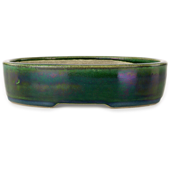 Ovaler grüner Bonsaitopf von Terahata Satomi Mazan – 222 x 175 x 52 mm