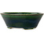 Pot à bonsaï ovale vert par Terahata Satomi Mazan - 230 x 200 x 75 mm
