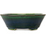Maceta ovalada para bonsái verde de Terahata Satomi Mazan - 230 x 200 x 75 mm