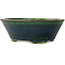 Vaso bonsai ovale verde di Terahata Satomi Mazan - 230 x 200 x 75 mm