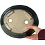Maceta ovalada para bonsái verde de Terahata Satomi Mazan - 230 x 200 x 75 mm