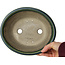 Maceta ovalada para bonsái verde de Terahata Satomi Mazan - 230 x 200 x 75 mm