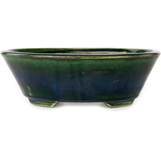  Satomi Mazan, Mazan Terahata Pot à bonsaï vert ovale de 230 mm par Terahata Satomi Mazan, Tokoname, Japon