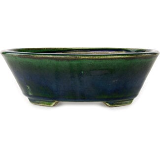  Satomi Mazan, Mazan Terahata Vaso bonsai verde ovale da 230 mm di Terahata Satomi Mazan, Tokoname, Giappone