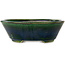 Vaso bonsai ovale verde di Terahata Satomi Mazan - 230 x 200 x 75 mm