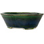 Vaso bonsai ovale verde di Terahata Satomi Mazan - 230 x 200 x 75 mm