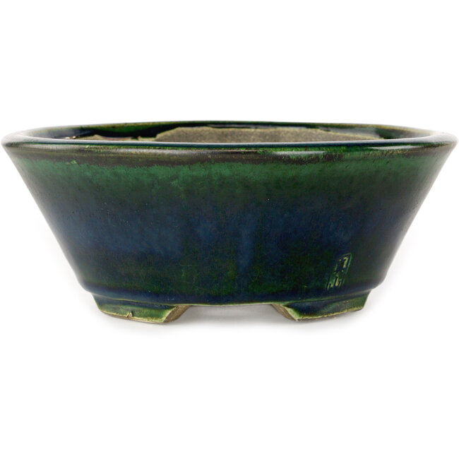 Vaso bonsai ovale verde di Terahata Satomi Mazan - 230 x 200 x 75 mm