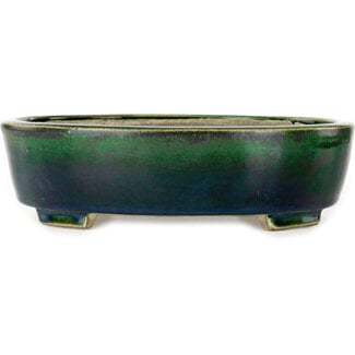 Satomi Mazan, Mazan Terahata Pot à bonsaï vert ovale de 252 mm par Terahata Satomi Mazan, Tokoname, Japon