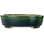Pot à bonsaï ovale vert par Terahata Satomi Mazan - 252 x 210 x 70 mm