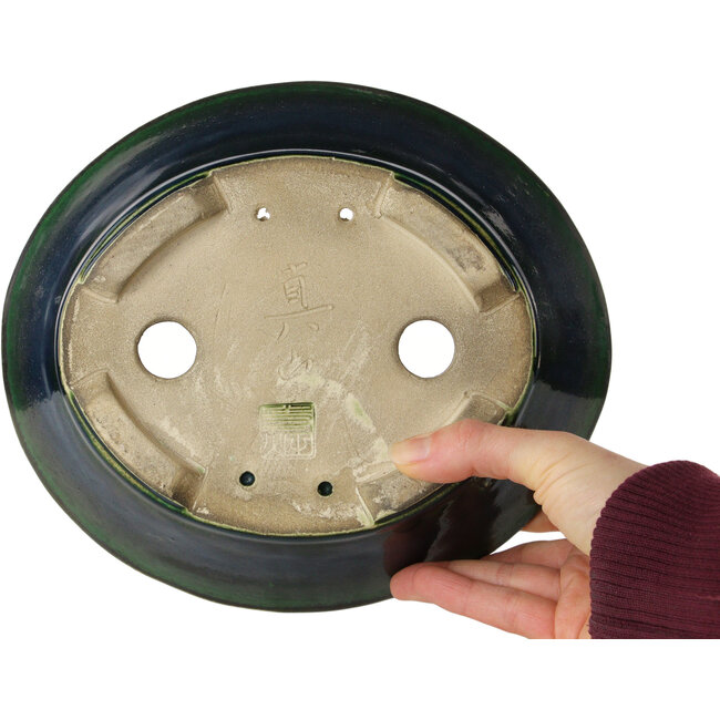 Maceta ovalada para bonsái verde de Terahata Satomi Mazan - 230 x 200 x 75 mm
