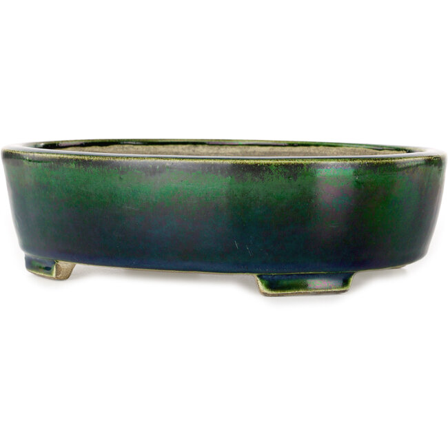Maceta ovalada para bonsái verde de Terahata Satomi Mazan - 252 x 210 x 70 mm