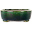Maceta ovalada para bonsái verde de Terahata Satomi Mazan - 252 x 210 x 70 mm
