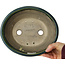 Pot à bonsaï ovale vert par Terahata Satomi Mazan - 230 x 200 x 75 mm