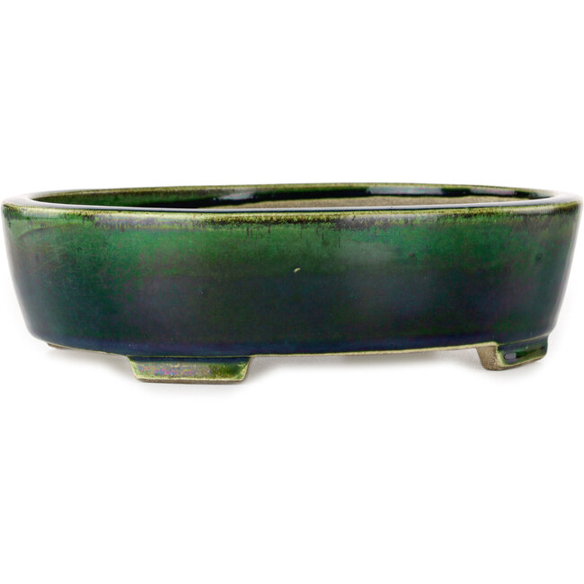 Ovale groene bonsaipot van Terahata Satomi Mazan - 252 x 210 x 70 mm