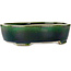 Maceta ovalada para bonsái verde de Terahata Satomi Mazan - 252 x 210 x 70 mm