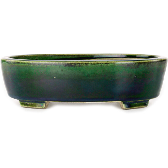 Ovale groene bonsaipot van Terahata Satomi Mazan - 252 x 210 x 70 mm