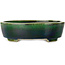 Maceta ovalada para bonsái verde de Terahata Satomi Mazan - 252 x 210 x 70 mm