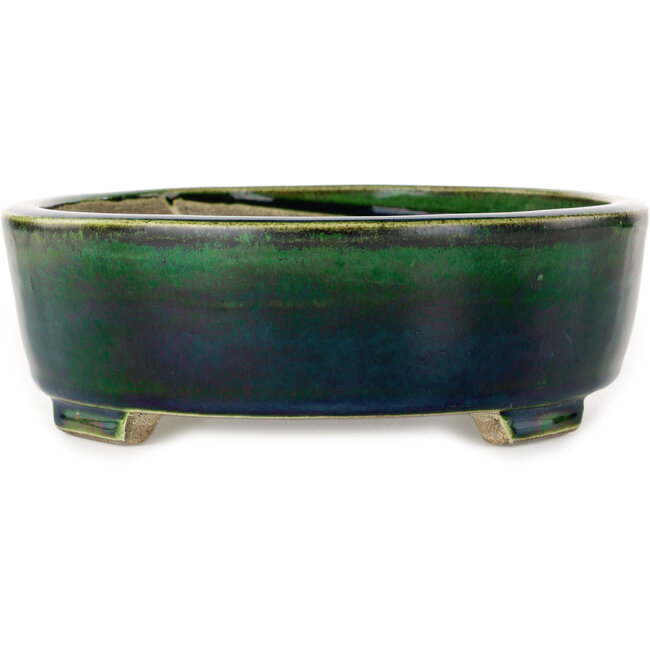 Vaso bonsai ovale verde di Terahata Satomi Mazan - 252 x 210 x 70 mm