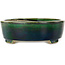 Pot à bonsaï ovale vert par Terahata Satomi Mazan - 252 x 210 x 70 mm
