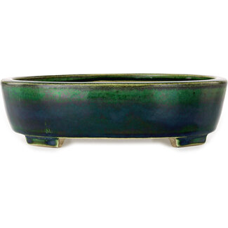  Satomi Mazan, Mazan Terahata Pot à bonsaï vert ovale de 252 mm par Terahata Satomi Mazan, Tokoname, Japon