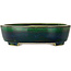 Pot à bonsaï ovale vert par Terahata Satomi Mazan - 252 x 210 x 70 mm