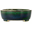 Maceta ovalada para bonsái verde de Terahata Satomi Mazan - 252 x 210 x 70 mm