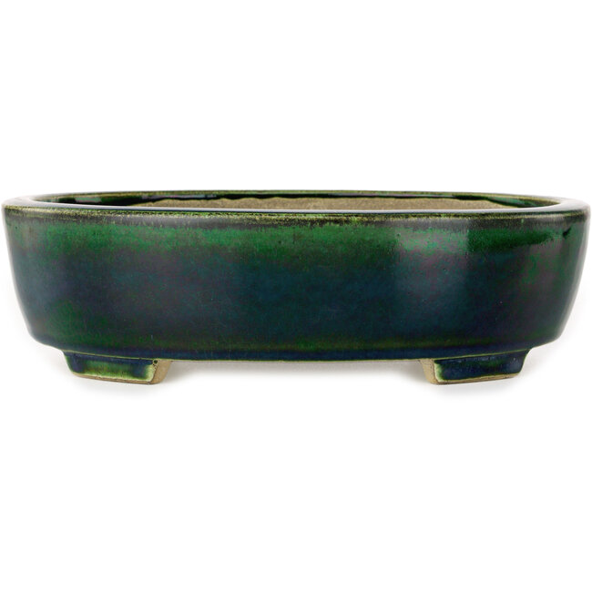 Ovale groene bonsaipot van Terahata Satomi Mazan - 252 x 210 x 70 mm