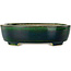 Maceta ovalada para bonsái verde de Terahata Satomi Mazan - 252 x 210 x 70 mm