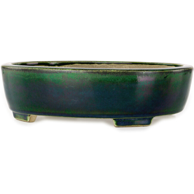 Vaso bonsai ovale verde di Terahata Satomi Mazan - 252 x 210 x 70 mm