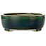 Pot à bonsaï ovale vert par Terahata Satomi Mazan - 252 x 210 x 70 mm