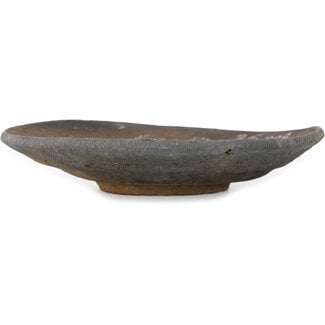  Yamaaki Vaso bonsai rotondo da 175 mm non smaltato di Yamaaki Koshosen (seconda generazione), Tokoname, Giappone