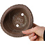 Maceta redonda sin esmaltar para bonsái de Yamaaki Koshosen (segunda generación) - 135 x 135 x 65 mm